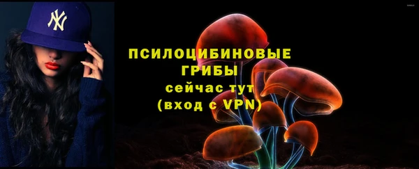 трава Абинск