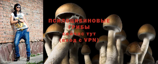 a pvp Алексин
